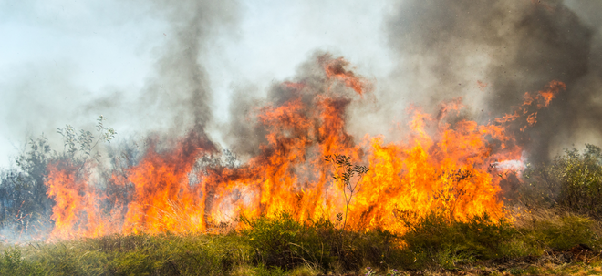 Donate Money To Far North QLD Floods Bushfires Domestic Violence   Bushfire Image Donate Funds Thumbnail 660x330 